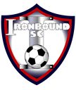 Club crest