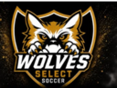 Club crest