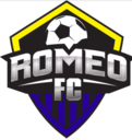 Club crest