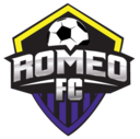 Club crest