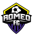 Club crest