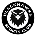 Club crest