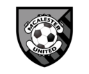 Club crest