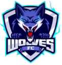 Club crest