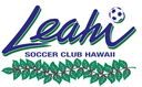 Club crest