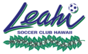 Club crest