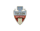 Club crest