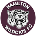Club crest