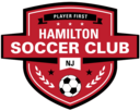 Club crest
