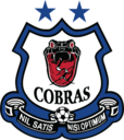Club crest