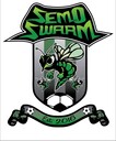 Club crest