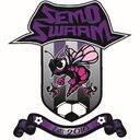 Club crest