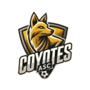 Club crest