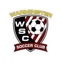 Club crest