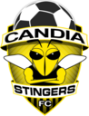 Club crest