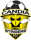 Club crest
