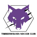 Club crest