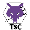 Club crest