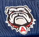 Club crest