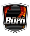Club crest