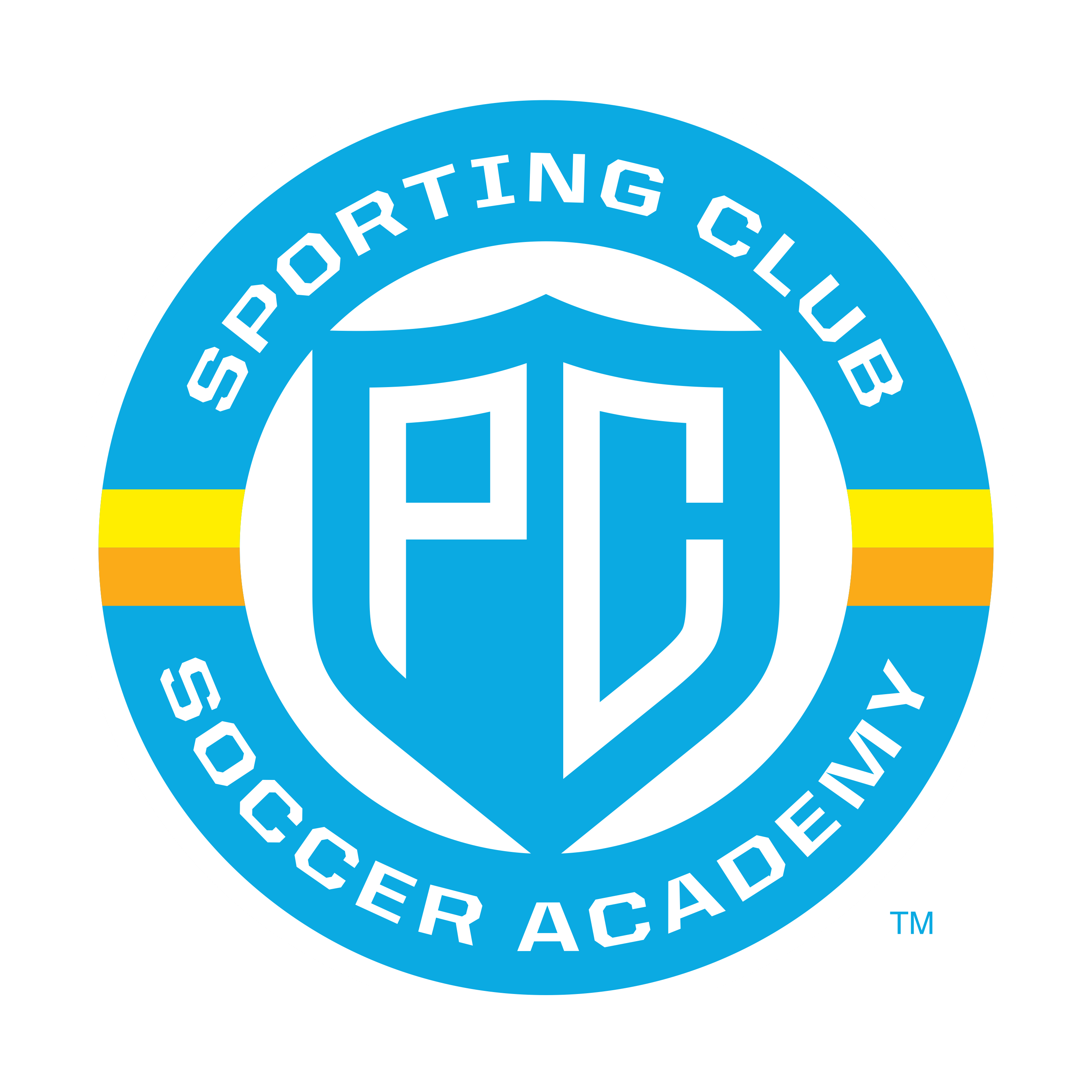 Club crest
