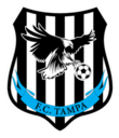 Club crest