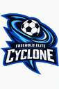 Club crest