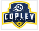Club crest