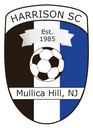 Club crest