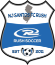 Club crest