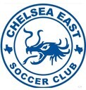 Club crest