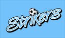 Club crest