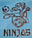 Club crest