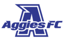 Club crest