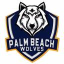 Club crest