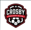 Club crest