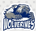 Club crest