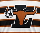 Club crest