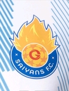 Club crest
