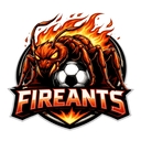 Club crest