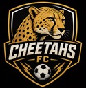 Club crest