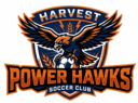 Club crest