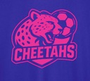 Club crest