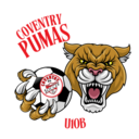 Club crest