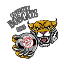 Club crest