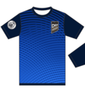 Club crest