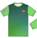 Club crest