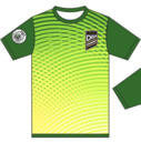 Club crest