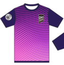 Club crest