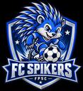 Club crest
